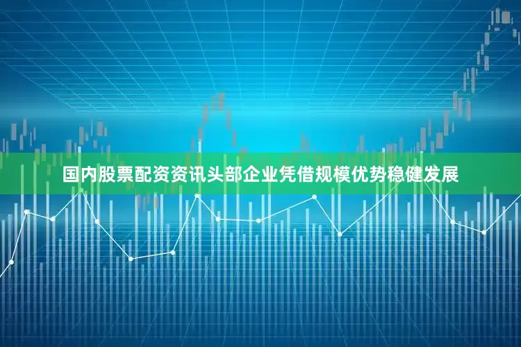 国内股票配资资讯头部企业凭借规模优势稳健发展